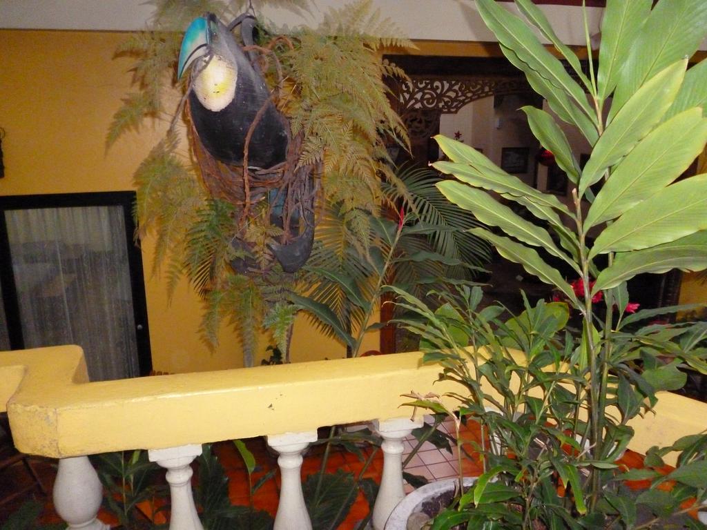 סן חוזה Hotel Don Carlos מראה חיצוני תמונה